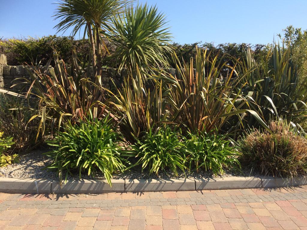 Bearlough Self Catering Holiday Home Rosslare Harbour Kültér fotó